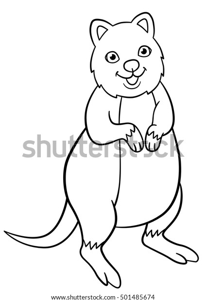 Coloring pages little cute quokka stands stock vector royalty free