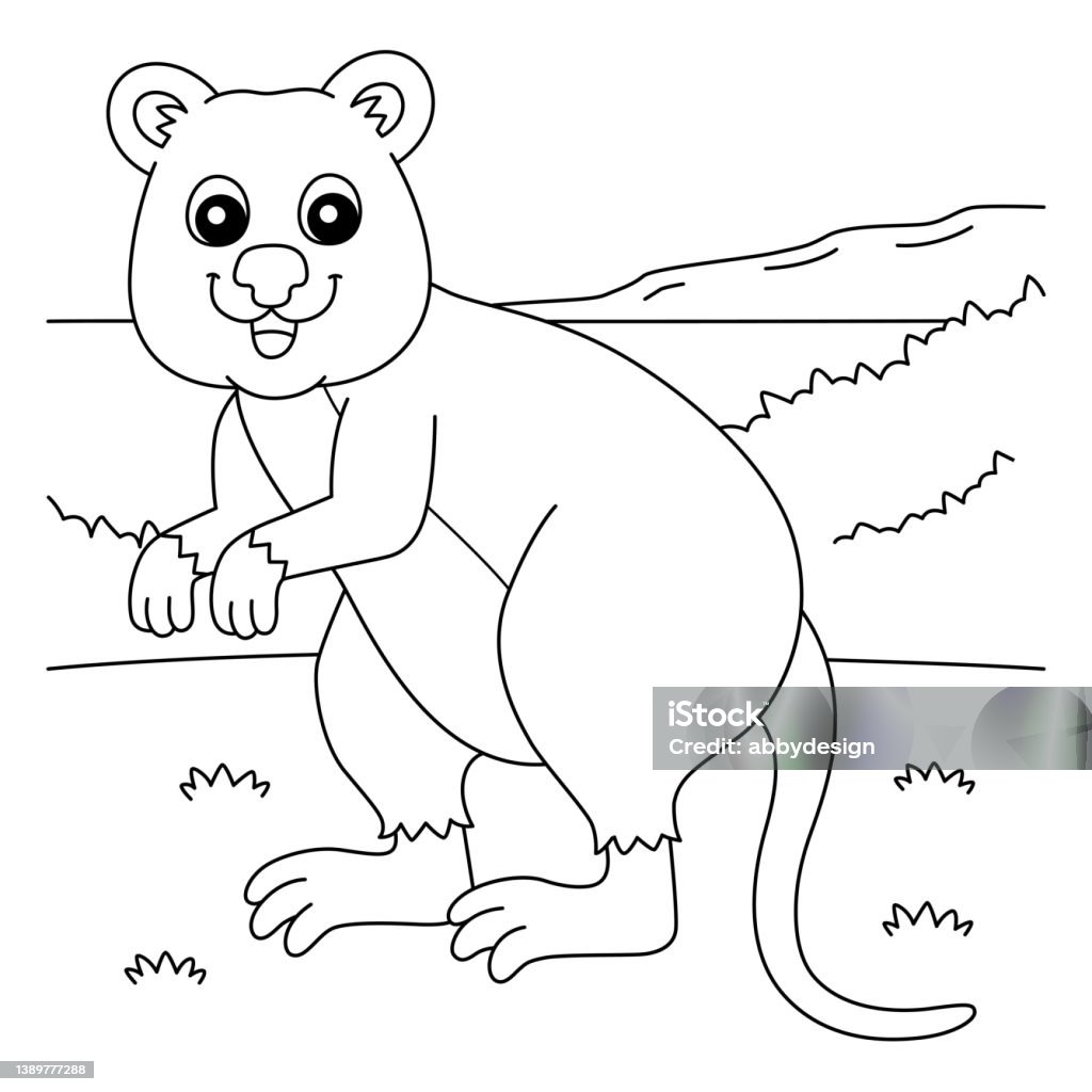 Quokka animal coloring page for kids stock illustration