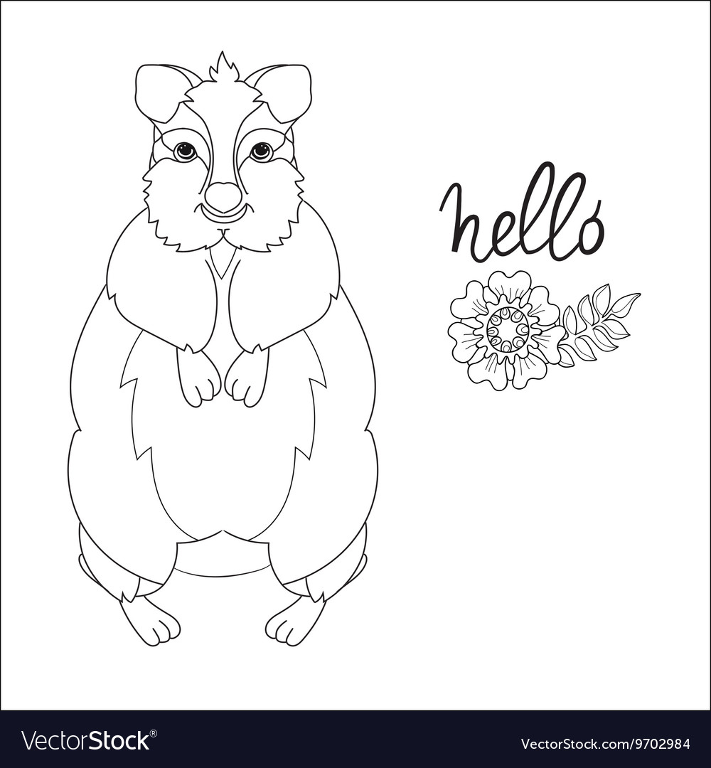 Hand drawn animal quokka doodle royalty free vector image