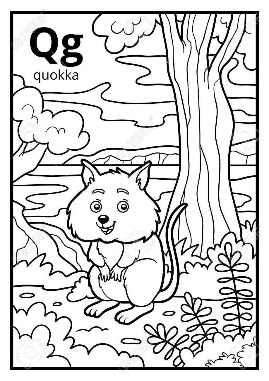 Coloring book for children colorless alphabet letter q quokka royalty free svg cliparts vectors and stock illustration image