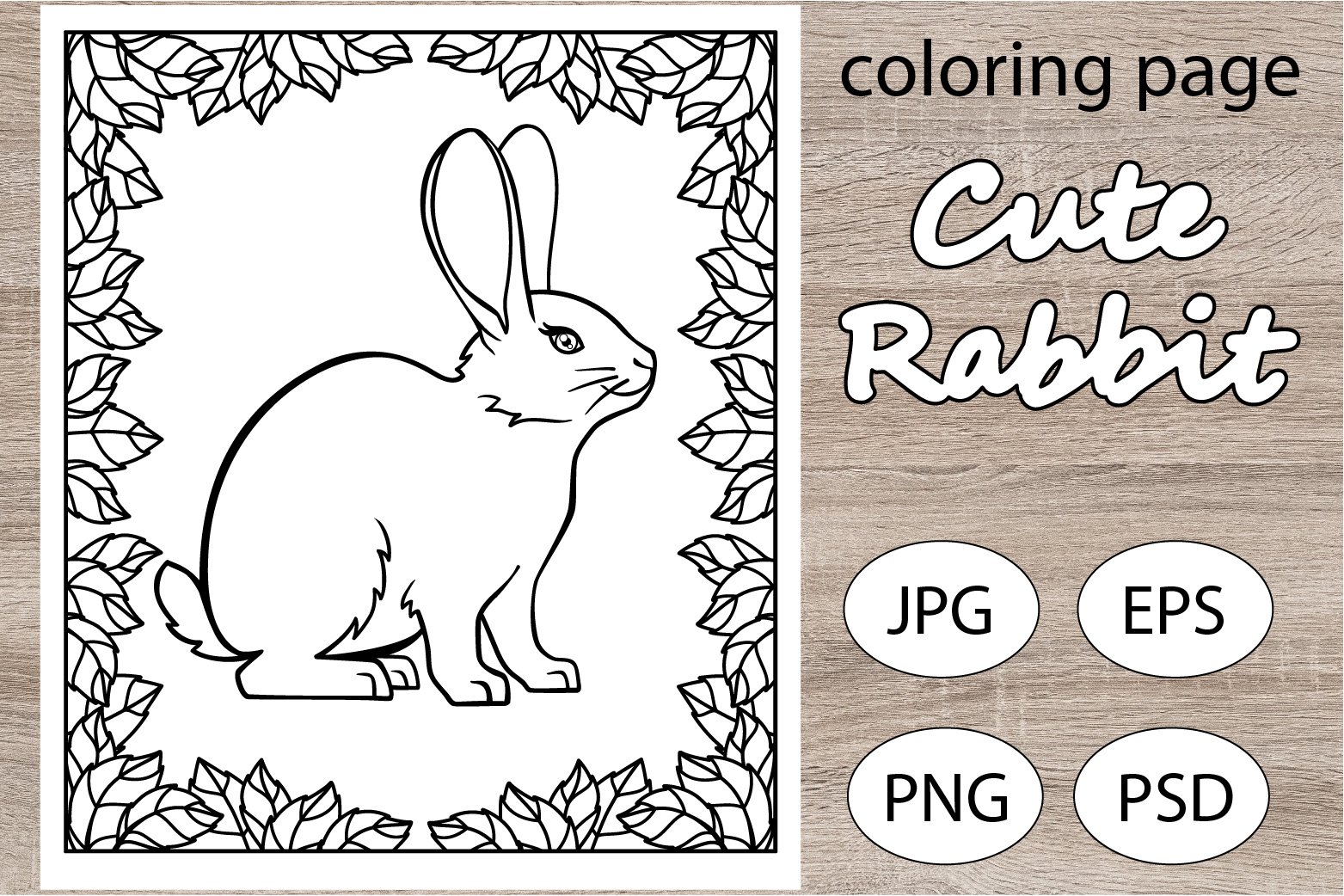 Cute rabbit