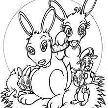 Rabbit family coloring pages