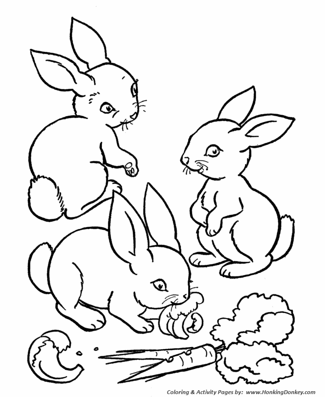 Farm animal coloring pages printable rabbits eating carrots coloring page and kids activity sheet