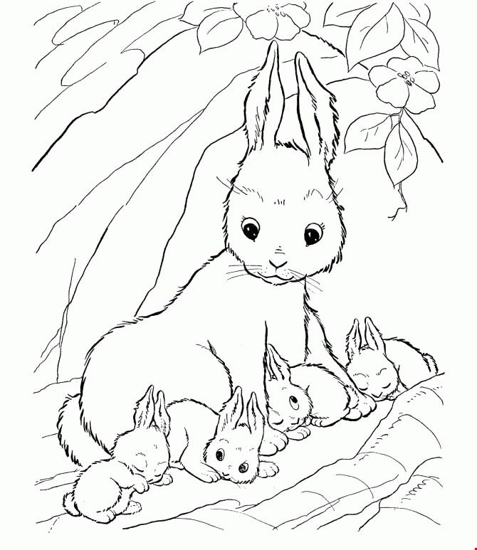 Rabbits family coloring page coloring pages bunny coloring pages animal coloring pages cartoon coloring pages