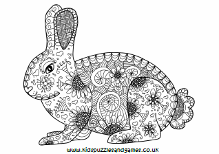 Rabbit adult louring
