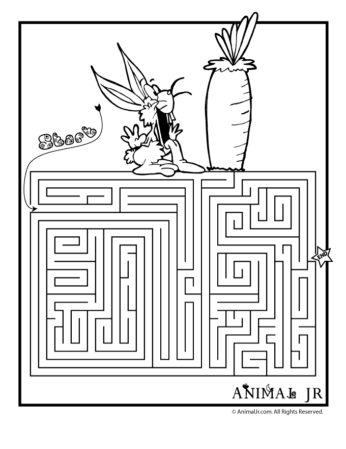 Printable mazes spring themed coloring pages animal jr