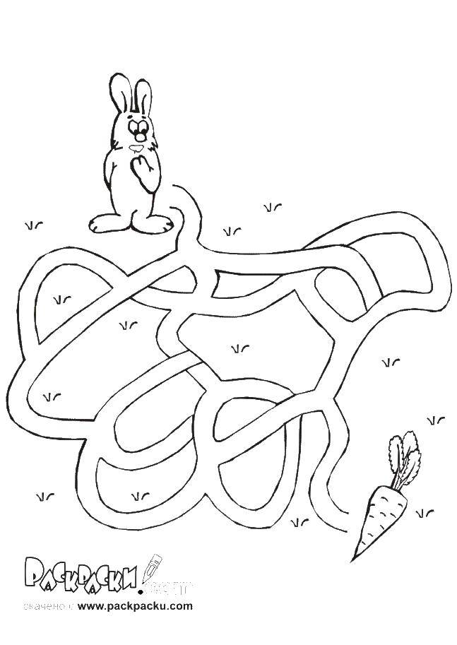Online coloring pages coloring page rabbit and carrot maze download print coloring page