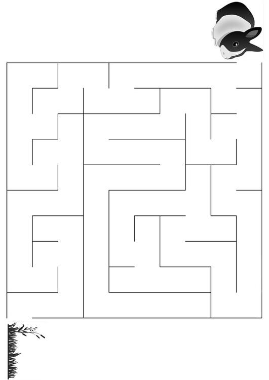 Coloring page maze rabbit