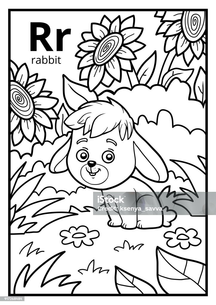 Coloring book colorless alphabet letter r rabbit stock illustration