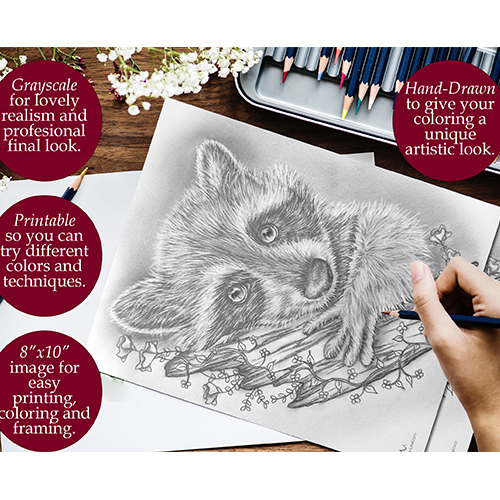 Raccoon printable coloring book page â artistry by lisa marie
