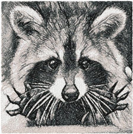 Advanced embroidery designs