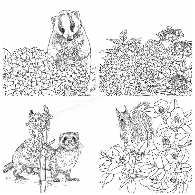Gifts from animals coloring book featuring birth flower â
