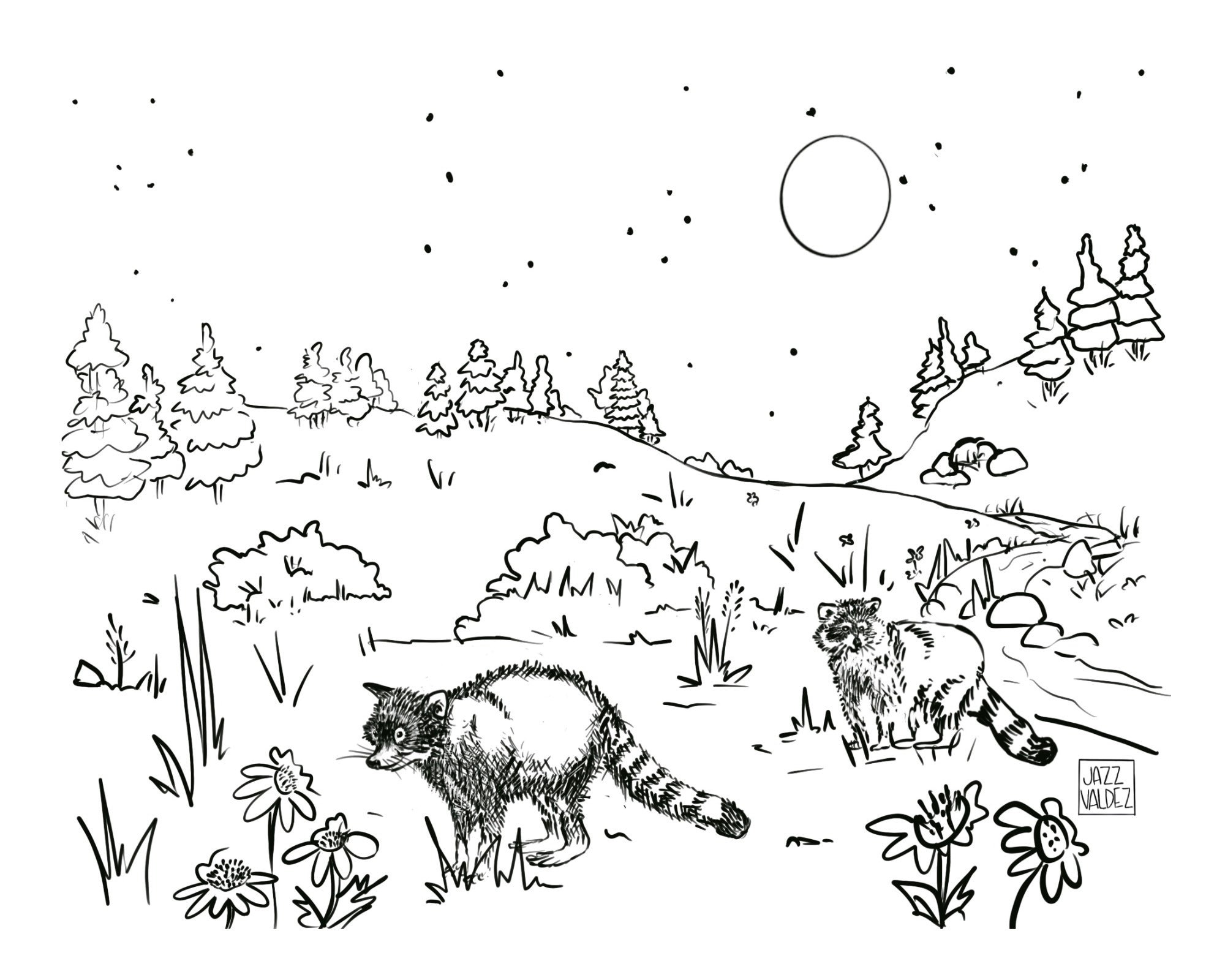 Colorado raccoons in nature coloring page drawing printable black and white illustration