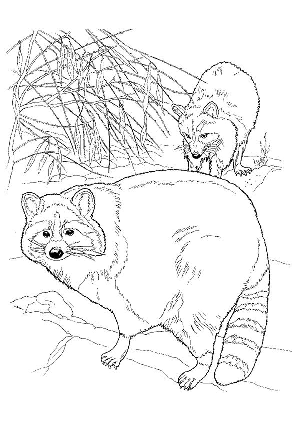 Print coloring image
