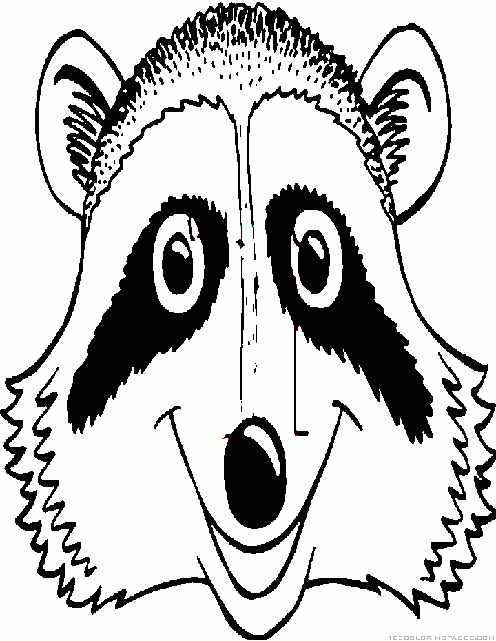 Raccoon coloring pages