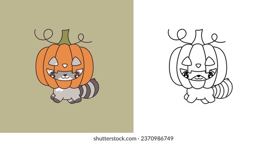 Halloween raccoon photos and images