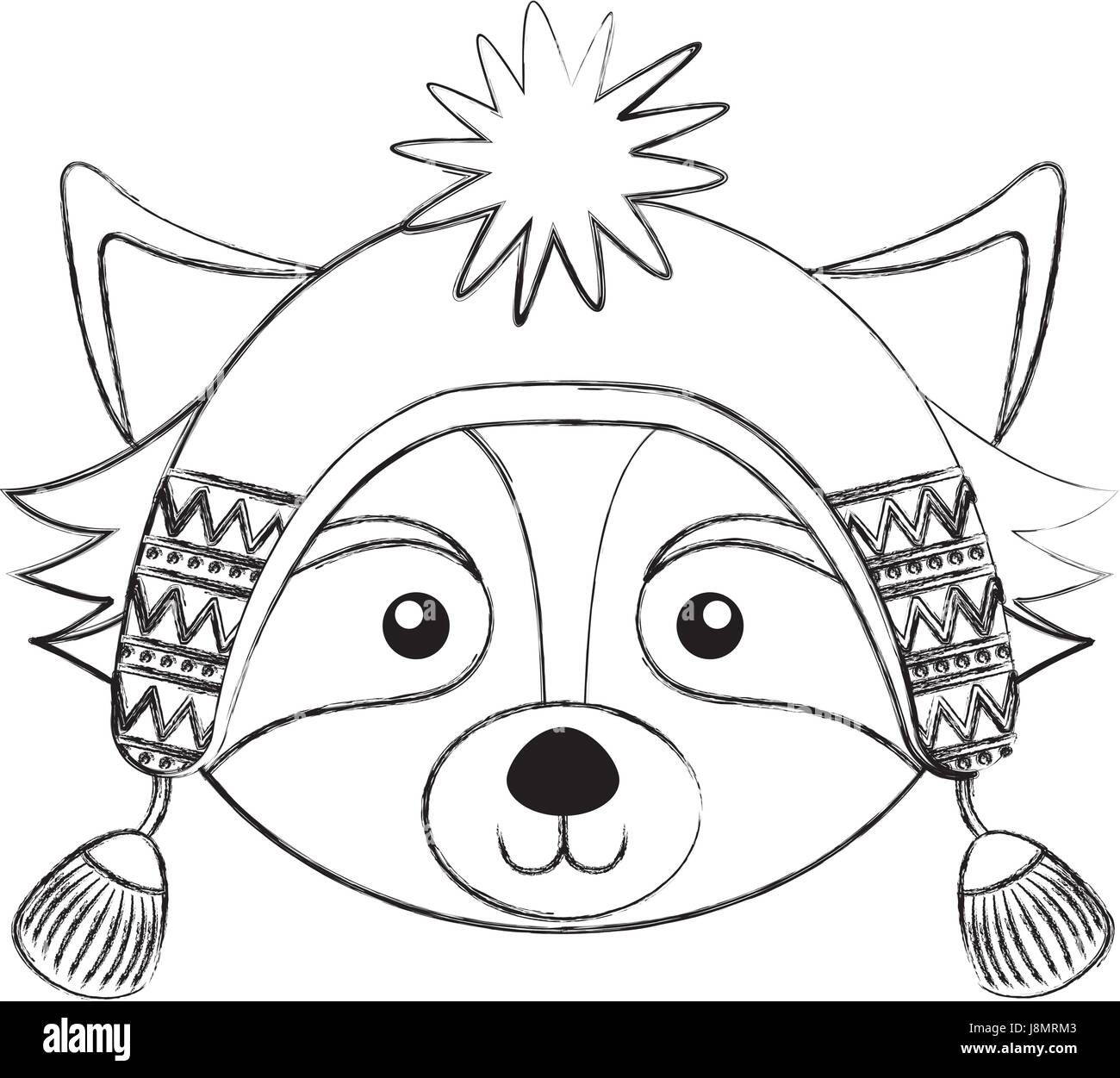 Raccoon sign hi