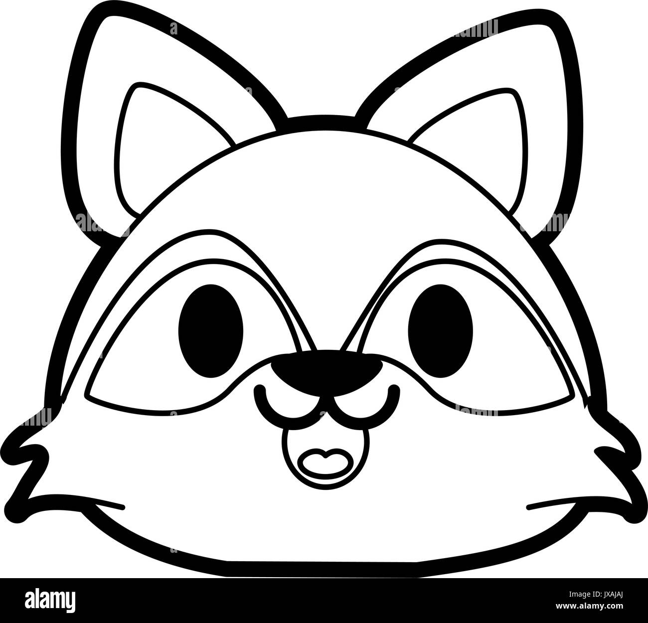 The raccoon black and white stock photos images