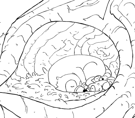 Raccoon rescue coloring pages â living wild side by side