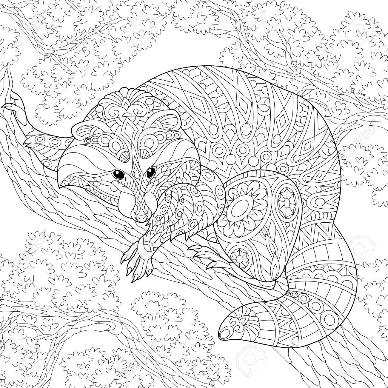 Coloring page of raccoon sitting on tree branch freehand sketch drawing for adult anti