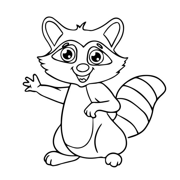 Coloring book raccoon stock illustrations royalty