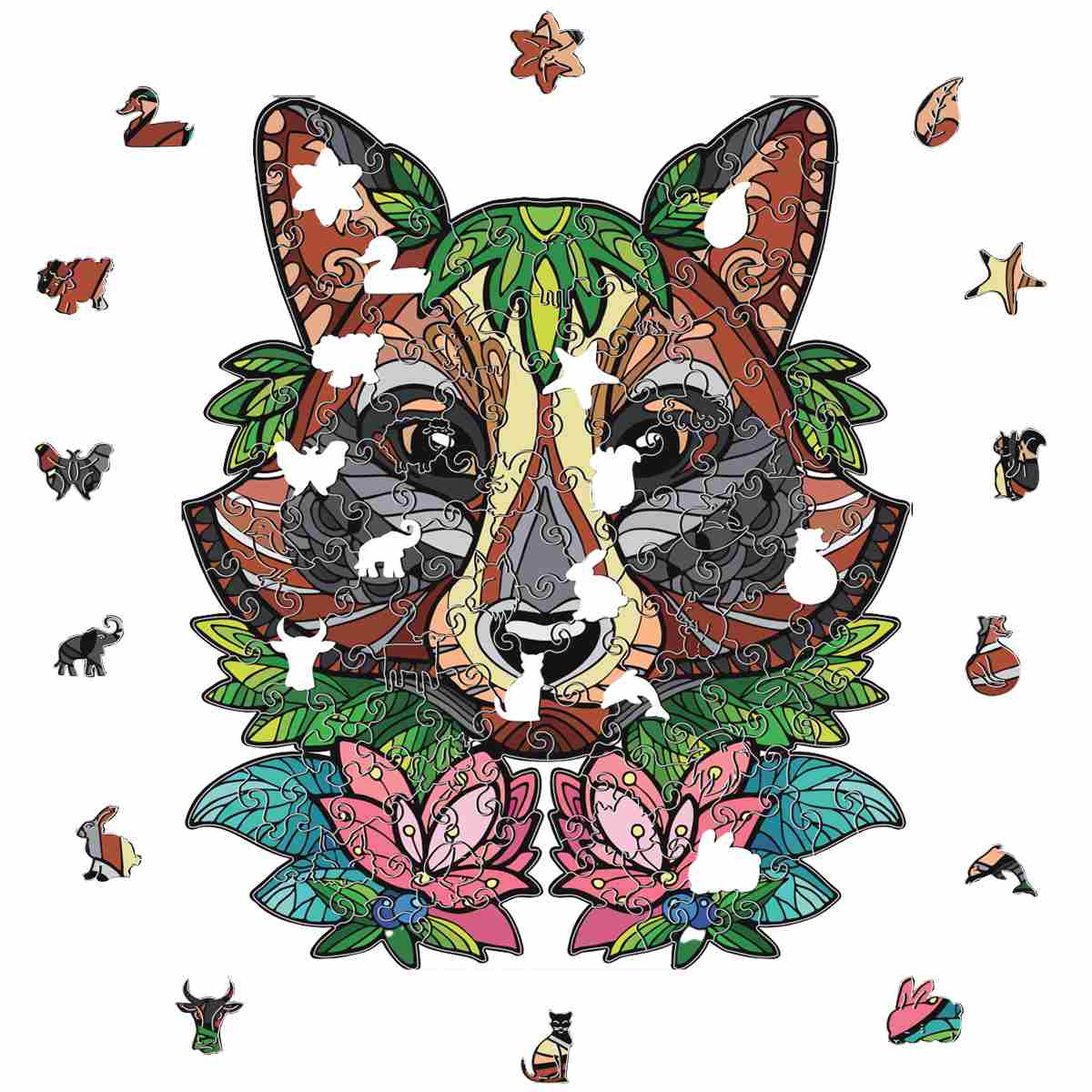 Blooming raccoon