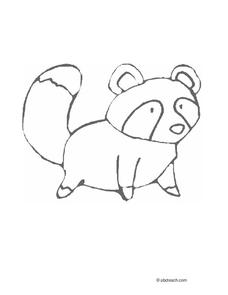 Raccoon lesson plans worksheets lesson planet