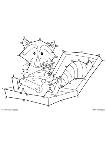 Raccoon dot