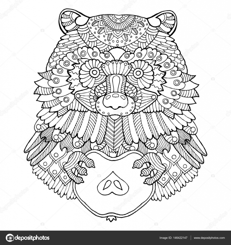Raccoon coloring book vector illustration stock vector by alexanderpokusay