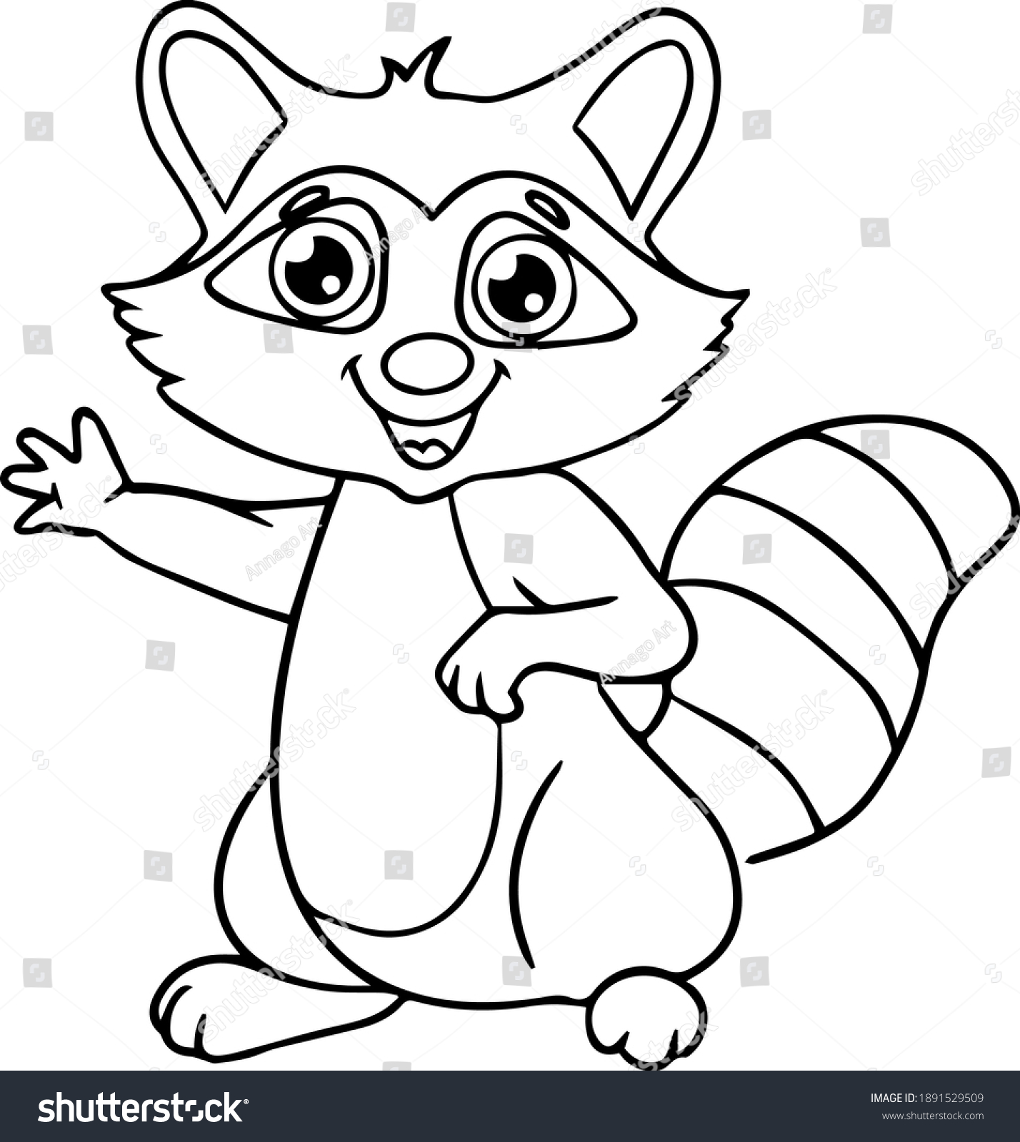 Outline racoon images stock photos d objects vectors