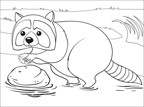 Raccoon coloring page free printable coloring pages