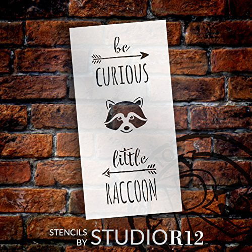 Be curious little raccoon