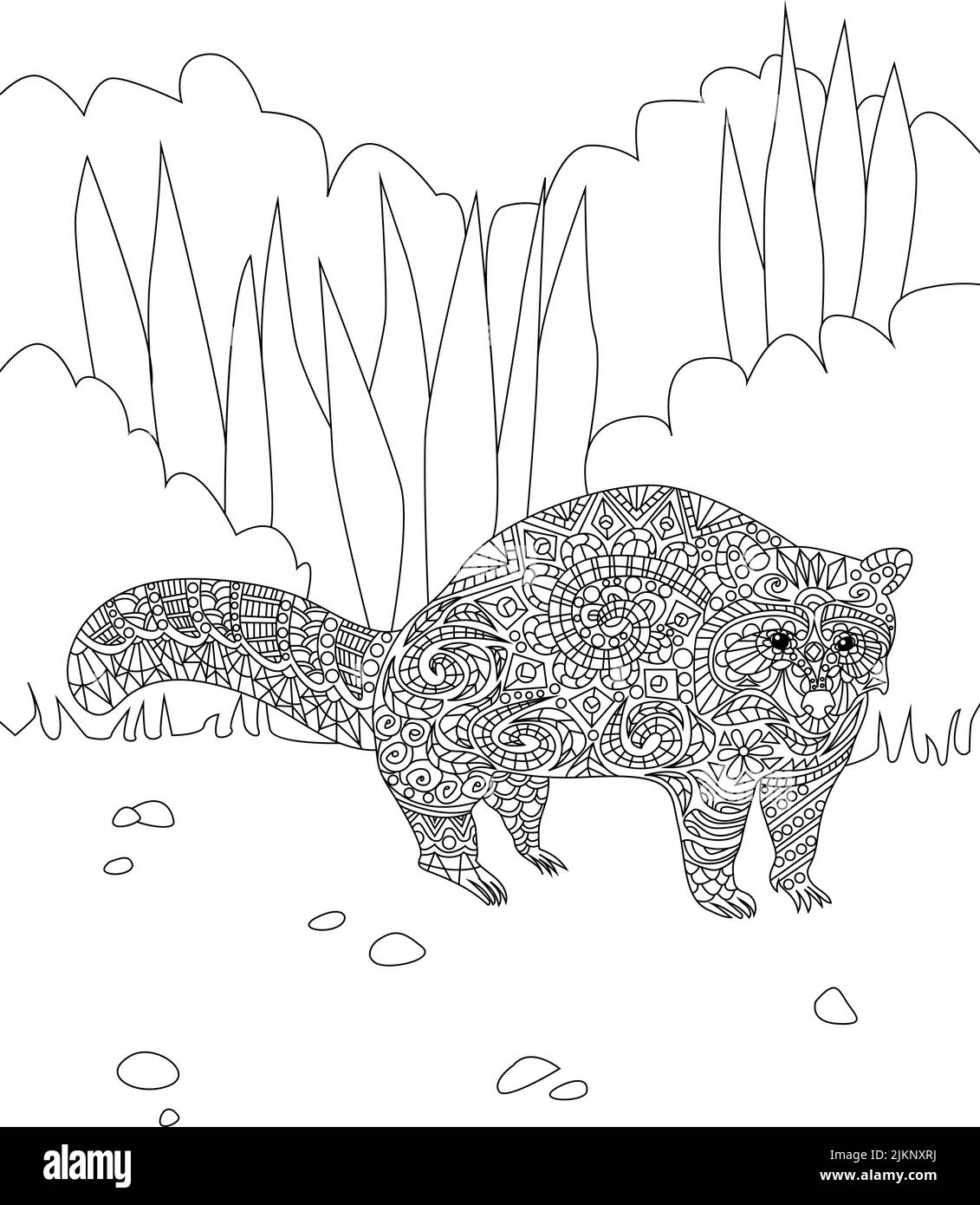 Raccoon art black and white stock photos images