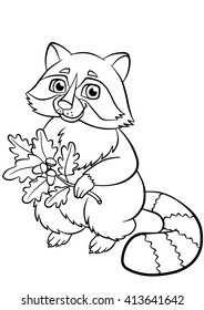 Outline racoon images stock photos d objects vectors