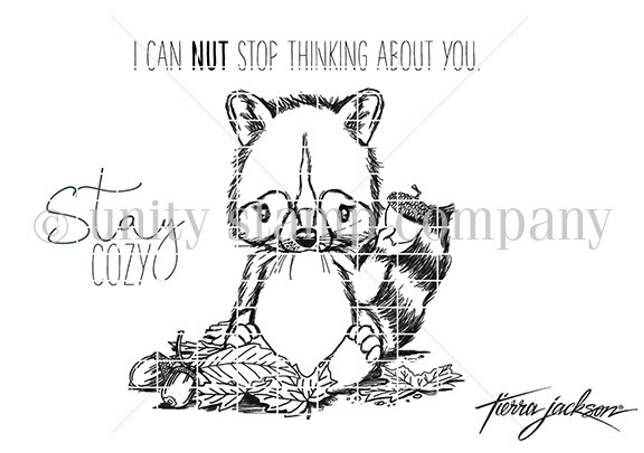 Cuddlebug raccoon