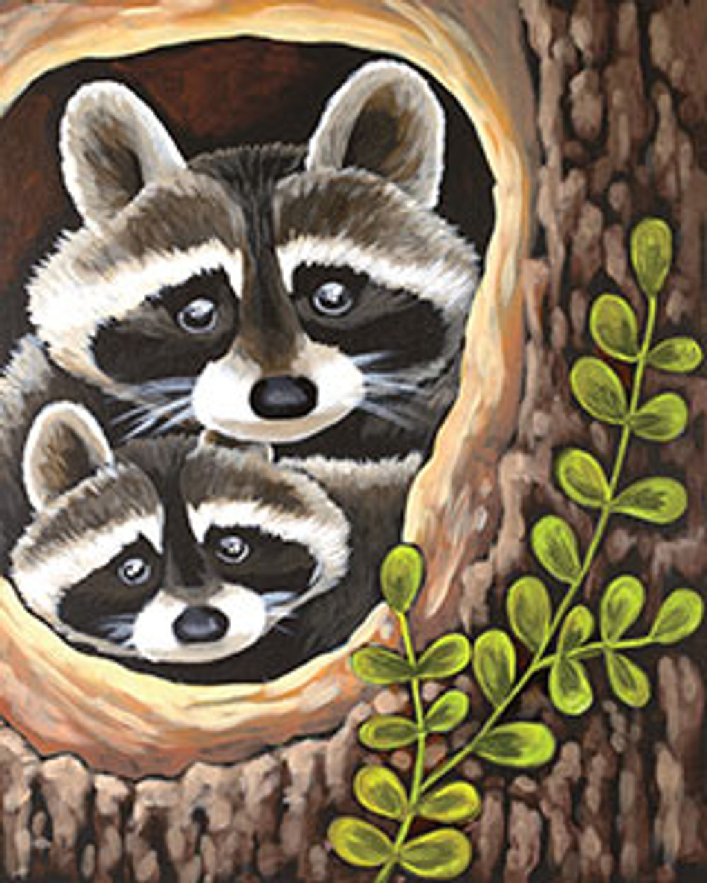 Curious raccoons