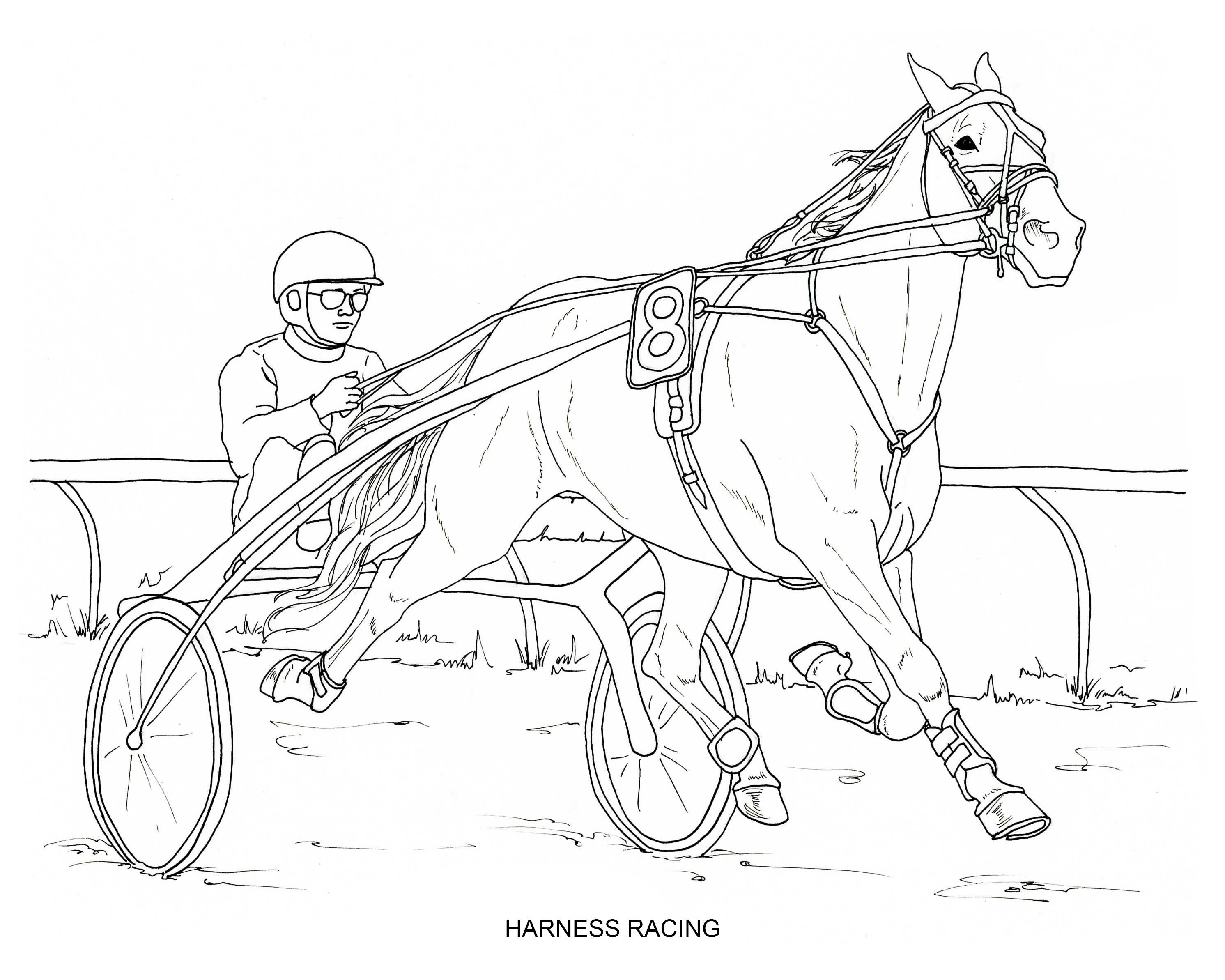 Printable set of driving horses coloring pages digital download