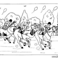 Horse