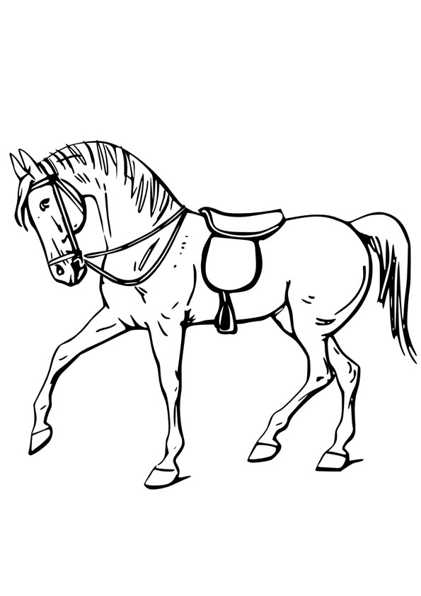 Coloring pages racing horse coloring page