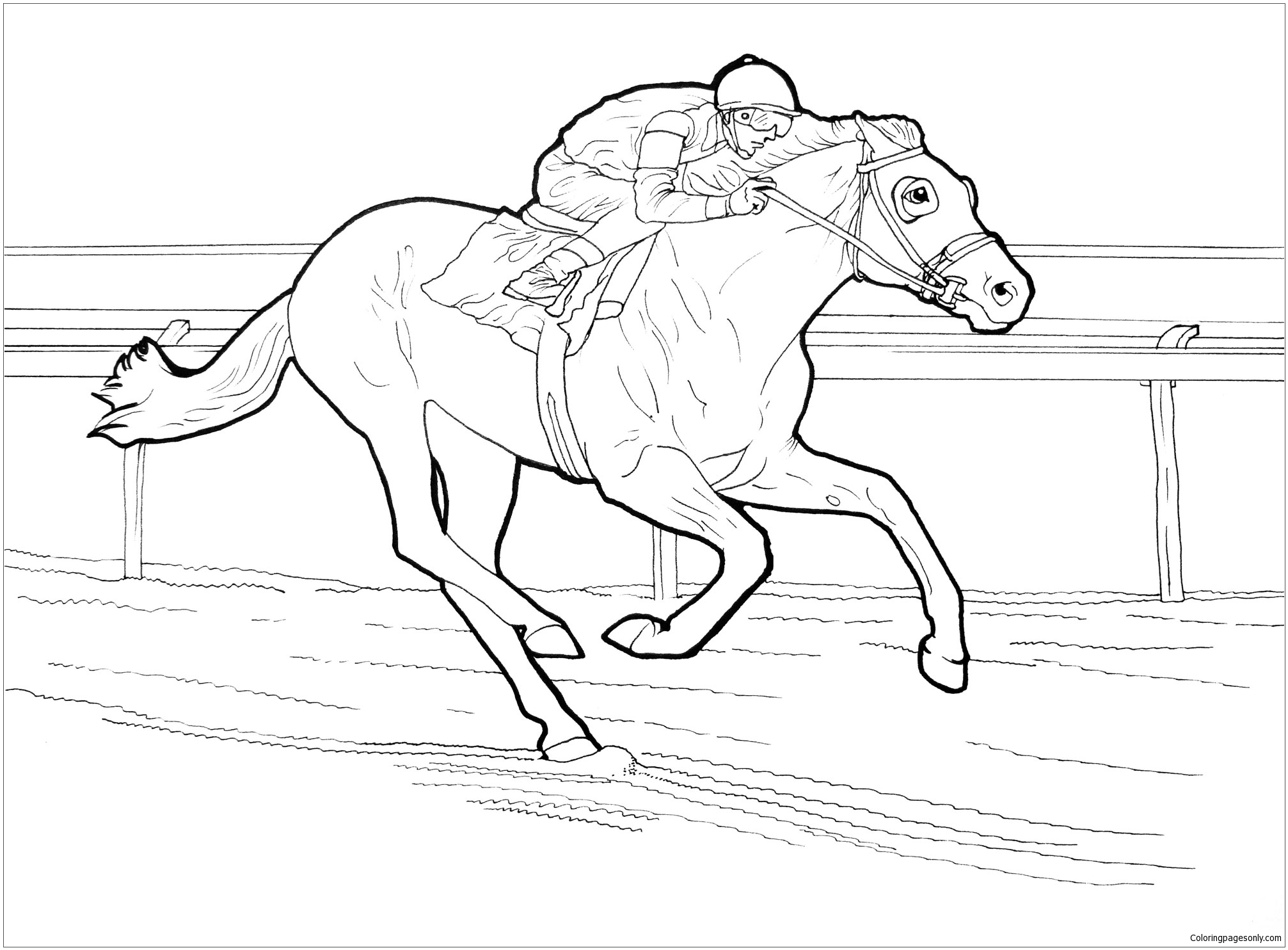 Race horses coloring page