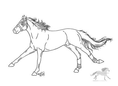 Racehorse lineart by rejectall