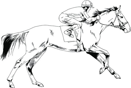 Horse and jockey outline images â browse photos vectors and video