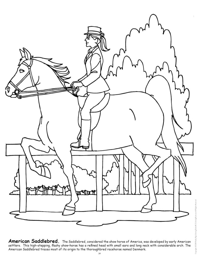 Horses really big coloring book x
