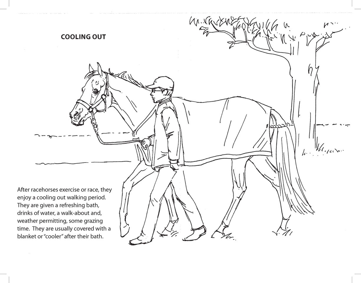 Longruns activity book page longrun thoroughbred retirement society