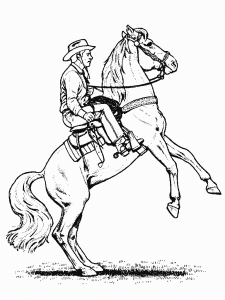 Race horse