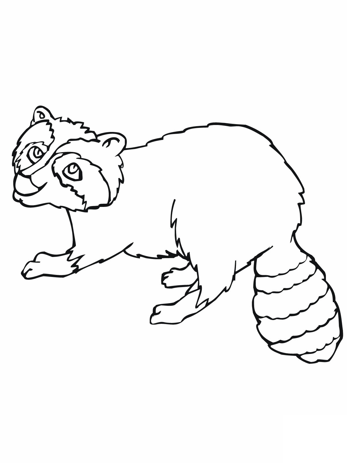 Free printable raccoon coloring pages for kids