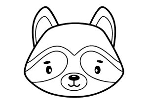 Raccoon