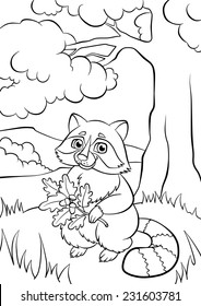 Raccoon coloring page images stock photos d objects vectors