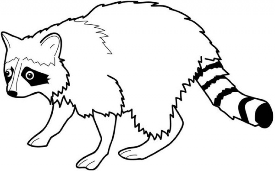 Get this printable raccoon coloring pages online