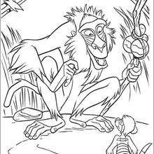 Rafiki and timon coloring pages